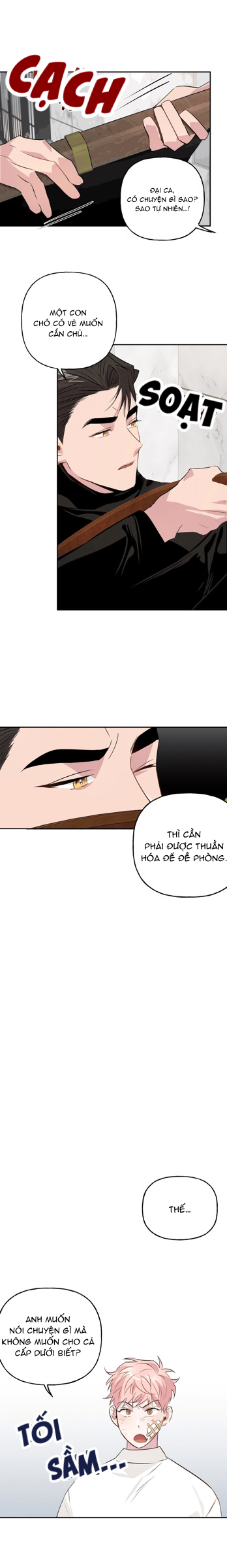 Cặp Đôi Điên Rồ Chapter 8 - Trang 2