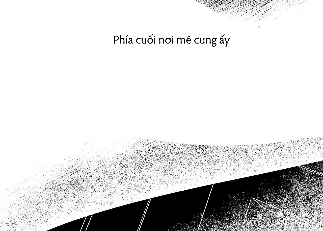 Hành Khúc Của Miro Chapter 1 - Next Chapter 2