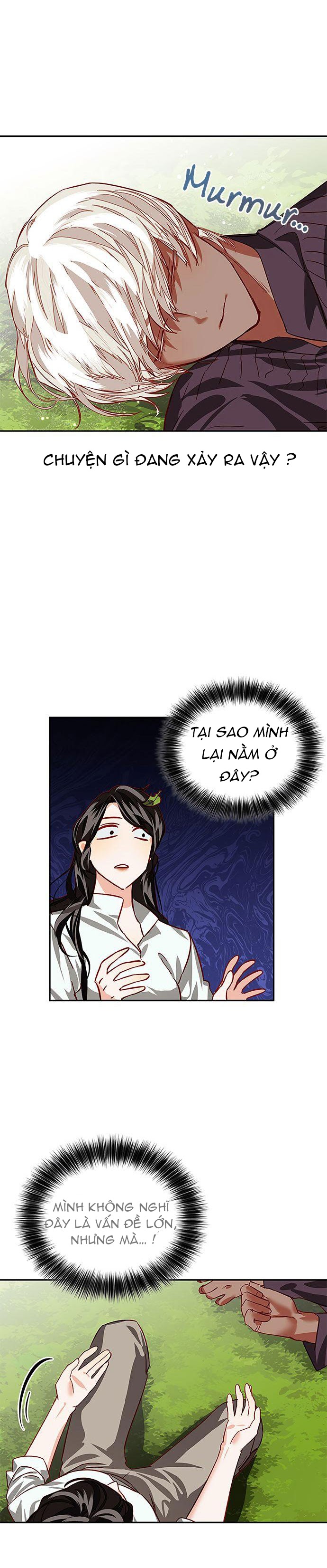 Hậu Cung Của Nữ Chính Chapter 4 - Trang 2