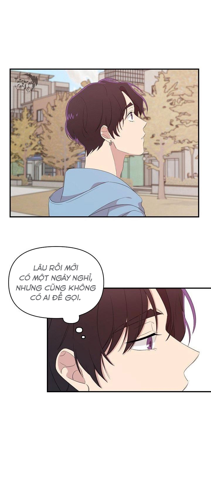 Hoa Ly Hổ Chapter 12 - Trang 2