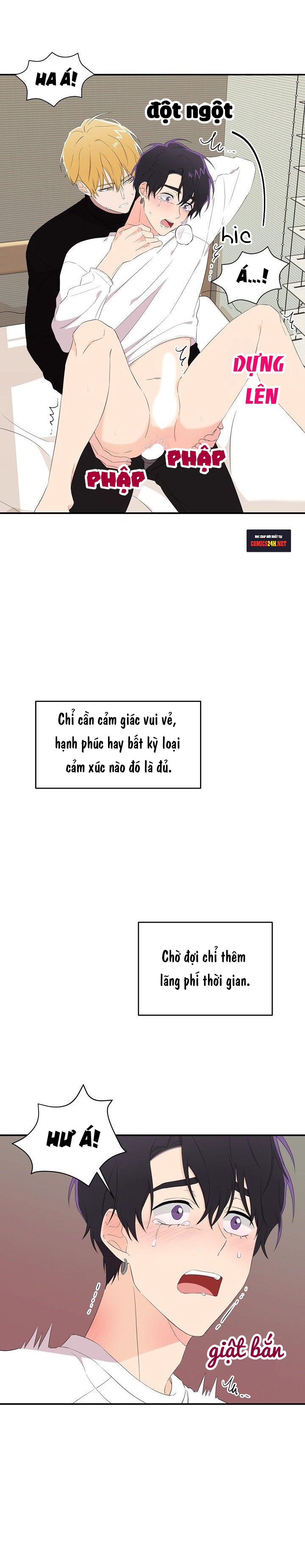 Hoa Ly Hổ Chapter 13 - Trang 2