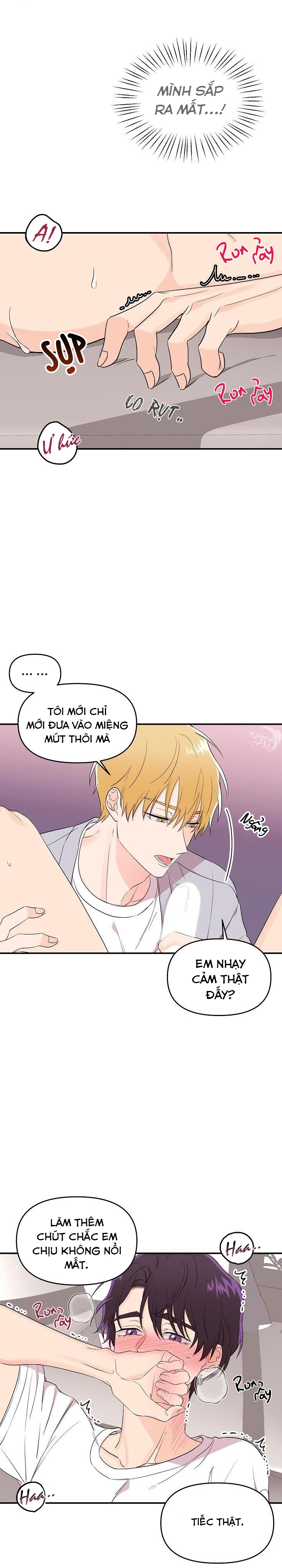 Hoa Ly Hổ Chapter 19 - Trang 2