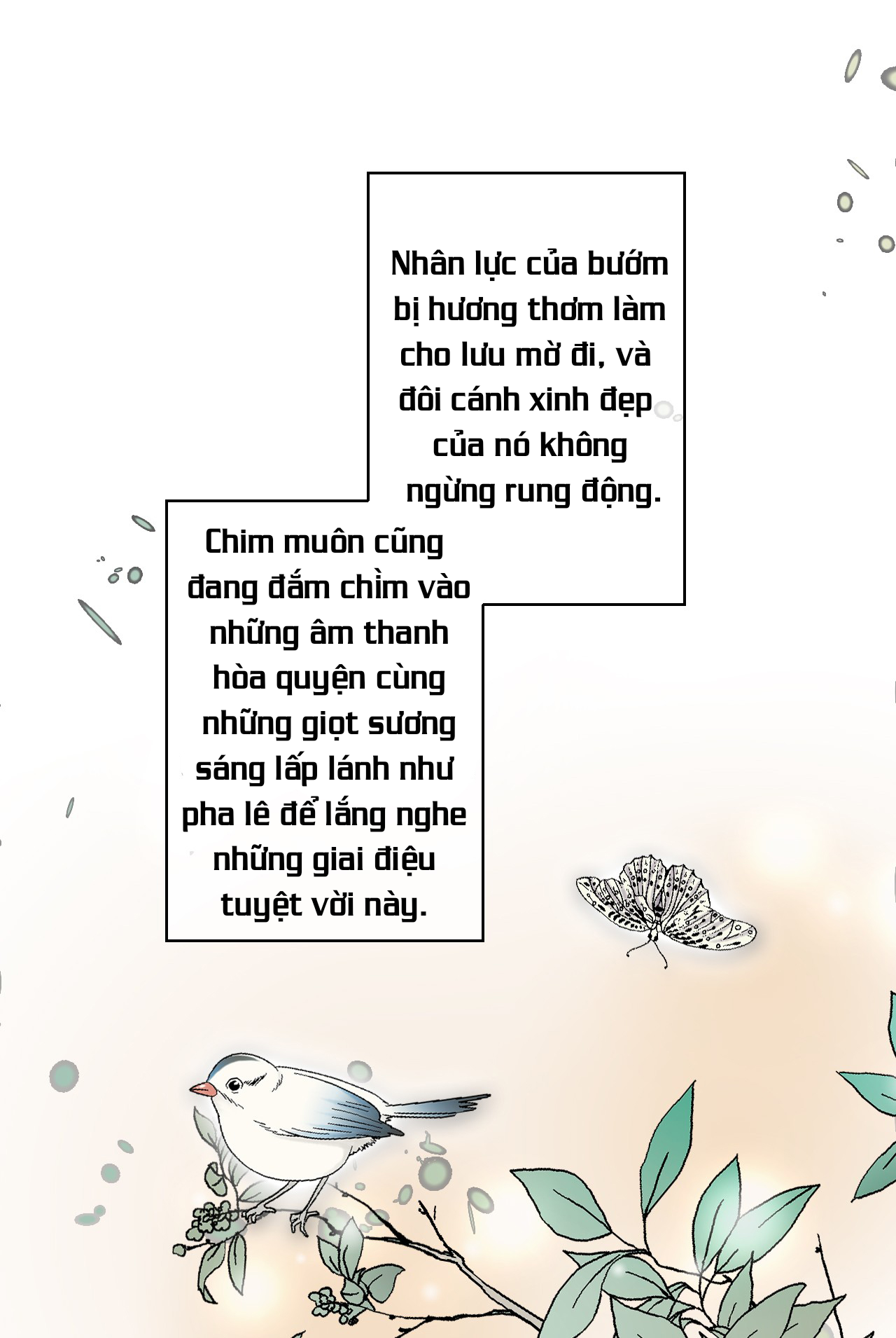 hoa vũ dao Chapter 5 - Trang 2