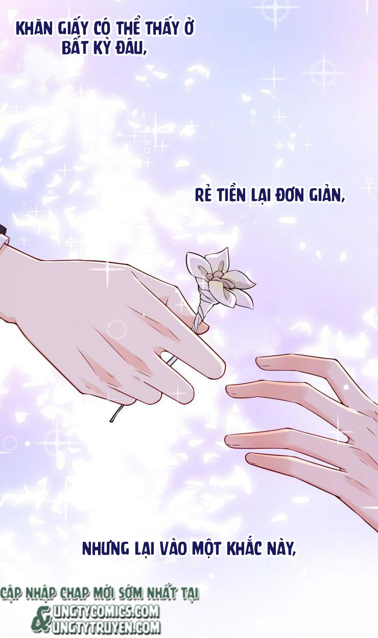 Món Quà Của Apolo Chapter 39 - Trang 2