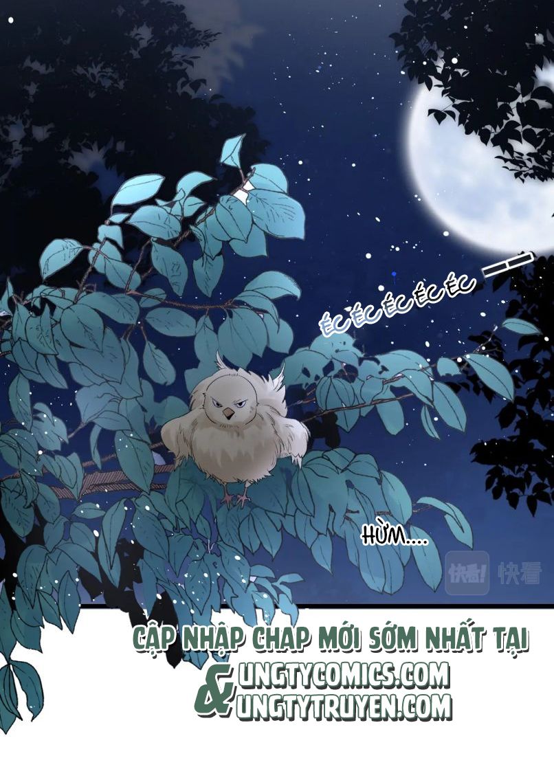 Nội Thị Mỗi Ngày Đều Muốn Cách Xa Hoàng Thượng Chapter 22 - Trang 2