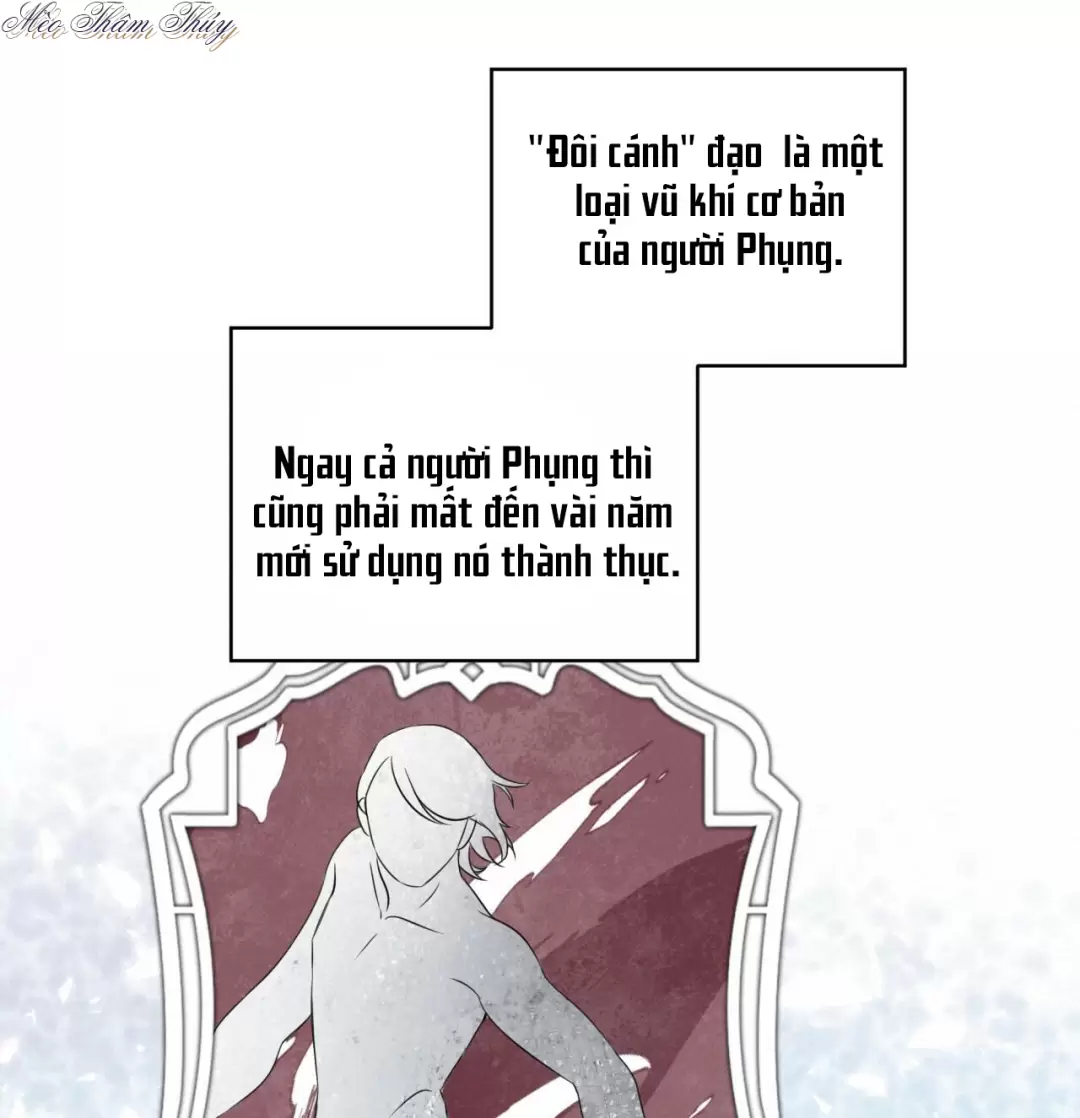 Rừng Biển Chapter 5 - Trang 2