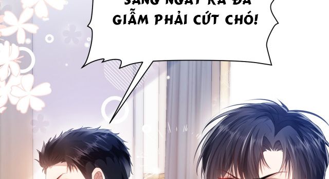 Tiểu Dã Miêu Của Học Bá Thật Trêu Người Chapter 5 - Trang 2