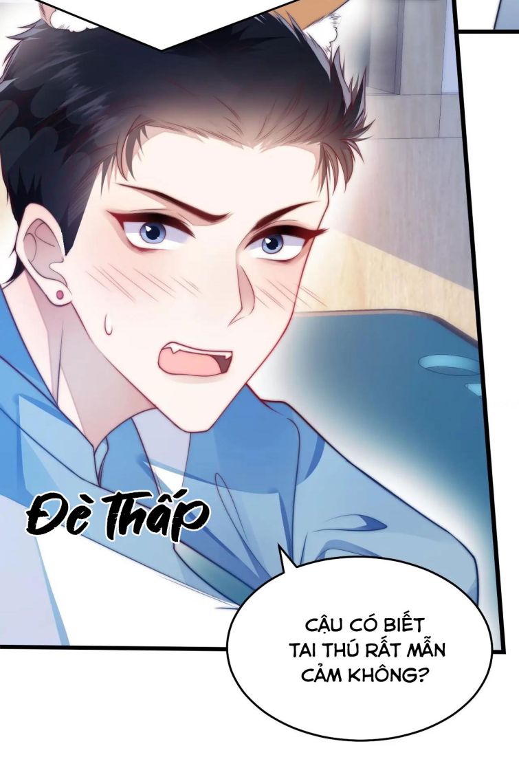 Tiểu Dã Miêu Của Học Bá Thật Trêu Người Chapter 6 - Trang 2