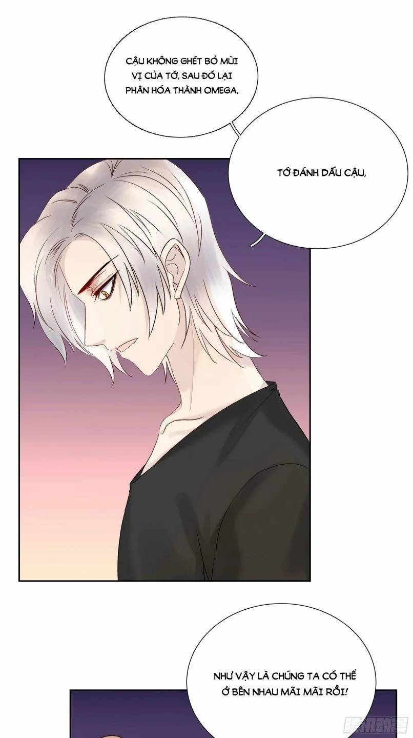 Tôi Hoài Nghi Em Yêu Thầm Tôi Chapter 12 - Next Chapter 13