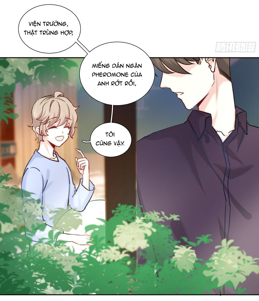 Tôi Hoài Nghi Em Yêu Thầm Tôi Chapter 14 - Next Chapter 15